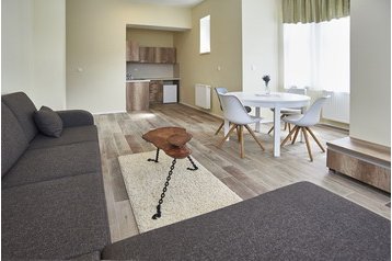 Suite Trenčianske Teplice 1